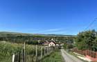 Teren pentru case, duplex,  zona frumoasa cu panorama sat Pata - 6