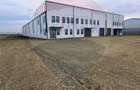 Spațiu industrial Balotesti - Tunari - Aeroport Otopeni - 21