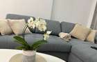 Apartament 3 camere/ Cortina North/ Pipera/ Promenada+parcare - 5