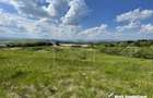 Teren superb in Salicea, 3695 mp, PUZ, drum, apa si curent, zona “La Mesteceni” - 3