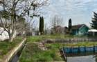 Investitie: Casa cu teren constructii si pastravarie - Prejmer, Brasov - 6