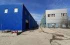 Berceni, hale dimensiuni 1800mp, 2750mp si 2900, acces facil - 12