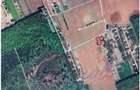 Vanzare teren constructie casa CIOFLICENI - SNAGOV - 5