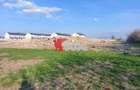 Teren de vânzare – 10.000 mp – ideal pentru parcelare și construcții - 1