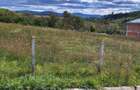 Teren Intravilan 2900mp Criseni - Pret 102.000eur neg - 1