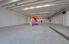 Spatiu comercial - 500 mp - 2
