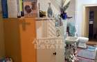 Două case de vânzare în aceeași curte zona Maria - 9