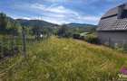 TEREN INTRAVILAN 728MP-TOATE UTILITATILE -FANTANELE - 7