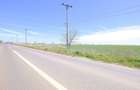 Dascalu, 65.000 mp. teren intravilan cu deschidere de 105 ml. la DJ200 - 3