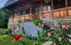 Vanzare 3 case de vacanta si 15750 mp teren, Botiza, Maramures - 11