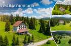 Complex montan 1.124 mp, Toplita Secu, investitie: turistica /retreat, cadru val - 1