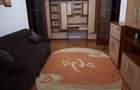 Apartament 2 camere etaj 1, Cantemir-Podu Ros, mutare rapida - 7