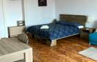 Apartament 1 Camera de inchiriat zona Centrala - 6