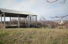 MICRO-FERMA + CASA IN VOIVOZI - BIHOR - 12