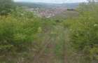 teren extravilan 3640 mp Strada Stejarului - 3