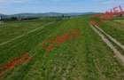 De vânzare teren intravilan în Baraolt, pe strada Baróti Szabó Dávid! - 3