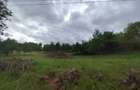 Teren intravilan de 1.900 mp, zona Oarda de Sus - 3