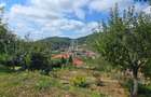 Casă de vânzare în exclusivitate, str. Română nr. 45, Sighisoara - 19