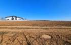 Teren intravilan 13175mp utilitati Ciolpani Strada Alunisului - Padurea Snagov - 8