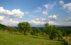 Teren extravilan de vânzare | 600 mp | Daia Nouă - 3