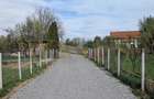Casa tip parte, 677 mp curte,Unirea - 5