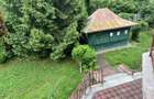Acasă la Bascov- Județ Arges cu peisaj de poveste - 3