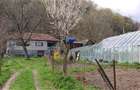 Casa si 3919 mp teren intravilan  in  Bucuresci, jud. Hunedoara - 1