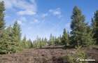 Eco Retreat Land in Apuseni Romania - Poiana Horea - 10