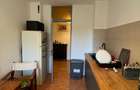 Apartament 4 camere de vanzare Victoriei, Banu Manta - 3