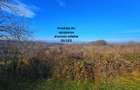 Teren intravilan 2.000 mp – Seciu, 2 deschideri, Priveliște panoramica - 5