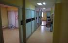 Parcul Carol - Rond Cosbuc, trei imobile, singur curte, liber - 7