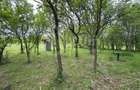 Teren intravilan cu casa renovabila | 2500mp teren | Front 21m | Aiton - 4