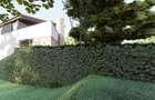 Teren de 375mp cu proiect autorizat: D+P+E -zona  Voronet, Iris - 8