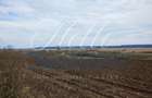 Teren 3700 mp, Intravilan Comana, sat Budeni, Jud. Giurgiu