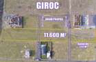 Teren arabil intravilan pentru PUZ 11.600mp | Giroc - 7