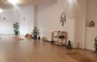 Studio sau birouri mansarda Universitate - strada Sfintilor 6 - 9