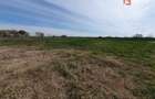 Teren intravilan, suprafata de 504 mp, cartier nou, in Utvin - ID V5060 - 12