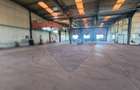 Spațiu industrial Hala Branesti deschidere directa DN3 - 7