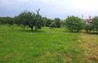 Teren intravilat| Zona rezidentila 1156 mp-TURNISOR - 2