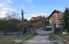 OSTROVENI, TEREN 3231 MP - PRETABIL DEZVOLTARE REZIDENTIALA - 9