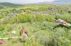 Teren intravilan Bran- Predelut - 32