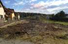 Teren intravilan 1000 mp, Snagov, toate utilitatile, zona padure / lac - 3
