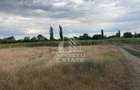 Parcela teren casa, intravilan, 1000 mp, Sanmihaiu Roman - 2