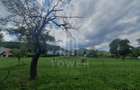 Teren de vanzare in Sibiel . - 2