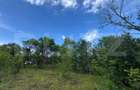 Teren extravilan de vanzare, 6000 mp, zona Hateg - 2