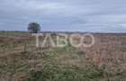 Teren intravilan 1500 mp zona Campsor cartierul Strand - 3