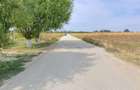 Palanca - Floresti - Stoenesti, Jud. Giurgiu, teren 4700 mp, utilitati