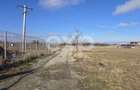 Teren 3.120 mp cu potențial de dezvoltare – Săcele | Posibilitate PUZ - 5