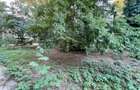 Teren intravilan 438 mp | PUD avizat S+P+2E | Floreasca - 7