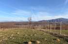 Teren 809 mp intravilan zonă în plină dezvoltare în Tropinii Noi - 11